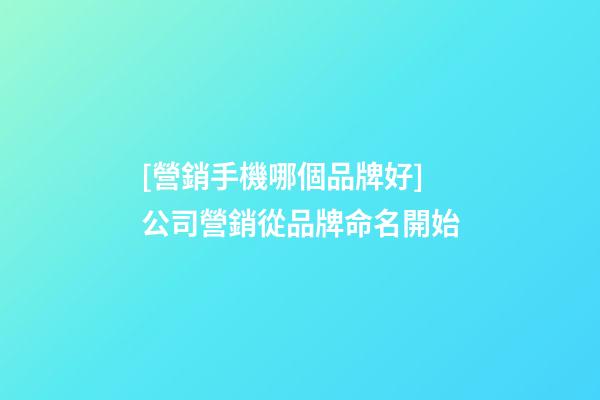 [營銷手機哪個品牌好]公司營銷從品牌命名開始-第1張-公司起名-玄機派